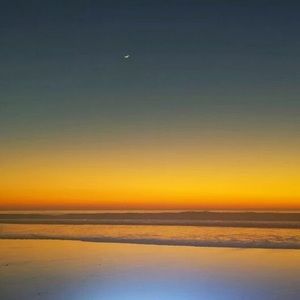 Meet your Posher, Phil